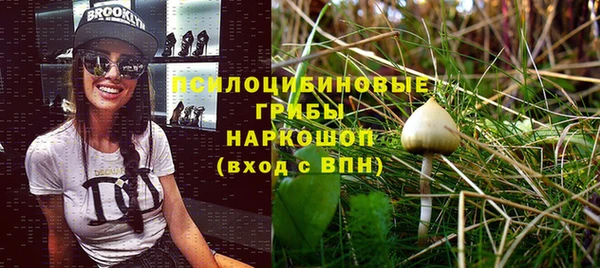apvp Верхний Тагил