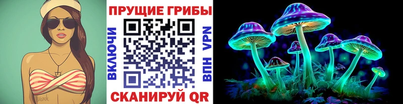 Псилоцибиновые грибы мицелий Вязники