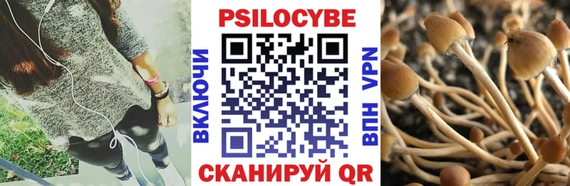 Псилоцибиновые грибы Magic Shrooms  ссылка на мегу как зайти  Вязники 
