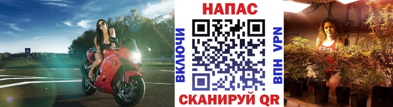 hydra как зайти Вязники Марихуана планчик что такое наркотик